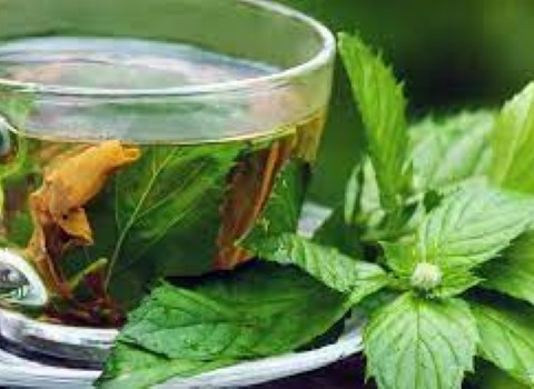 تصویر 2 از قیمت خرید عرق نعناع کاشان + فروش ویژه